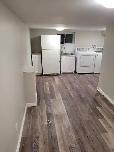 Residential and Commercial cleaning