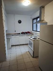 Renovated Bathroom large 3 ½ w/one bedroom in CDN. Available Nov - Photo 4