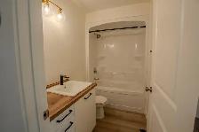 Beautiful NEW House for rent (4 bed 2 bath) in KLEEFELD MB - Photo 3