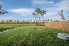 Beautiful NEW House for rent (4 bed 2 bath) in KLEEFELD MB - Photo 6