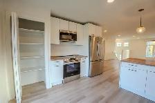 Beautiful NEW House for rent (4 bed 2 bath) in KLEEFELD MB - Photo 8