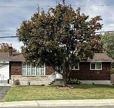 Nice multiple use Bungalow