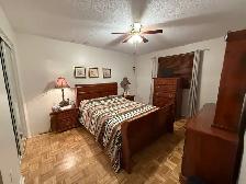 Nice multiple use Bungalow - Photo 6