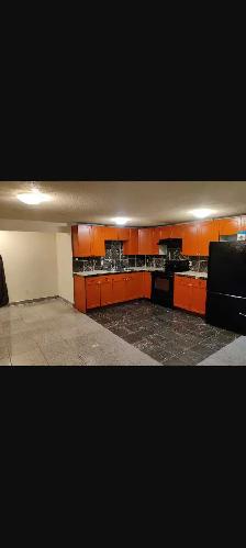 whitehorn legal suite.one bedroom one den for rent from November