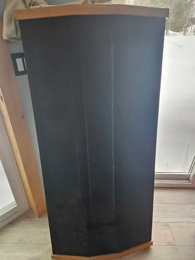 Accoustat vintage speakers.