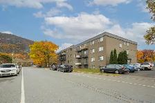 51/2,2,3,chambres,bedrooms,louer,rent,Nadeau,Mont-Saint-Hilaire - Photo 14