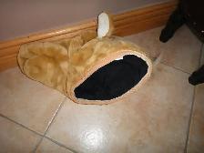 costume Halloween pour enfant - Photo 9