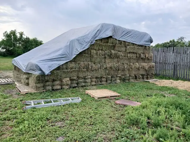 Hay and alfalfa mix bales