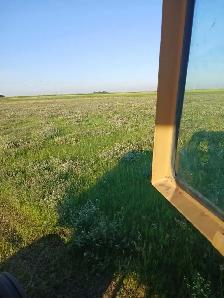 Hay and alfalfa mix bales - Photo 3
