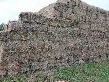 Hay and alfalfa mix bales - Photo 4