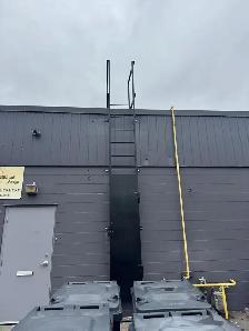 Steel Fixed Safety Cage Roof Access Ladders, Parapet/Platform - Photo 9