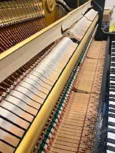 Monthly Special! Yamaha Upright Piano U1 - Photo 6