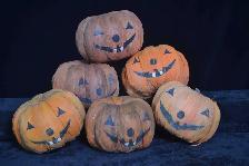 Décors d'Halloween - Photo 8