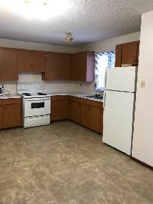 Near U of S. Perfect student rental! - Photo 3