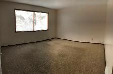 Near U of S. Perfect student rental! - Photo 7