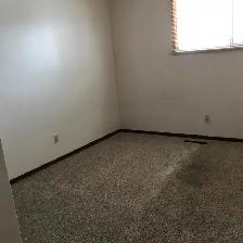 Near U of S. Perfect student rental! - Photo 8