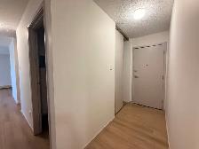 Renovated 3 Bedroom 1.5 Bath Apartment close to Downtown! - Photo 6