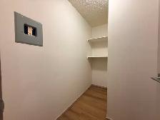 Renovated 3 Bedroom 1.5 Bath Apartment close to Downtown! - Photo 7
