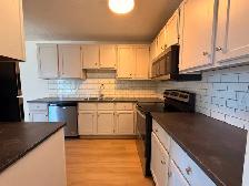 Renovated 3 Bedroom 1.5 Bath Apartment close to Downtown! - Photo 8