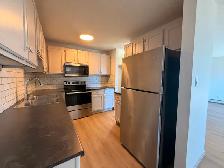 Renovated 3 Bedroom 1.5 Bath Apartment close to Downtown! - Photo 9