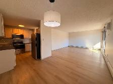 Renovated 3 Bedroom 1.5 Bath Apartment close to Downtown! - Photo 10