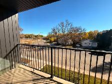 Renovated 3 Bedroom 1.5 Bath Apartment close to Downtown! - Photo 11
