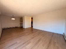 Renovated 3 Bedroom 1.5 Bath Apartment close to Downtown! - Photo 12