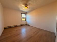 Renovated 3 Bedroom 1.5 Bath Apartment close to Downtown! - Photo 13