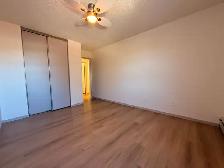 Renovated 3 Bedroom 1.5 Bath Apartment close to Downtown! - Photo 14