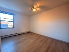 Renovated 3 Bedroom 1.5 Bath Apartment close to Downtown! - Photo 15