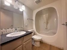 Renovated 3 Bedroom 1.5 Bath Apartment close to Downtown! - Photo 17