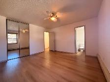 Renovated 3 Bedroom 1.5 Bath Apartment close to Downtown! - Photo 19