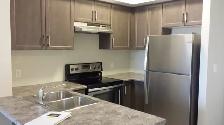 Milton Beautiful 2 bedroom Fully Renovated Condo for rent - Photo 3