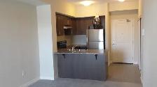 Milton Beautiful 2 bedroom Fully Renovated Condo for rent - Photo 10