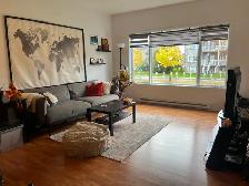 Condo lumineux de 2 chambres à louer sur le Plateau, Gatineau - Photo 5