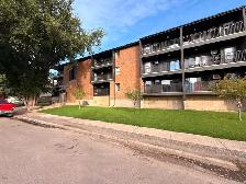 Renovated 2 Bedroom 1 Bathroom in a Great Location!