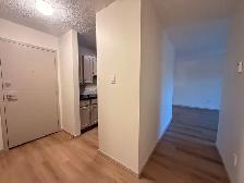 Renovated 2 Bedroom 1 Bathroom in a Great Location! - Photo 5