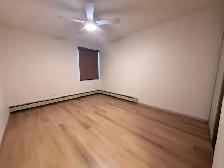 Renovated 2 Bedroom 1 Bathroom in a Great Location! - Photo 12