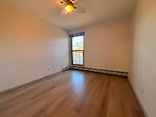 Renovated 2 Bedroom 1 Bathroom in a Great Location! - Photo 14