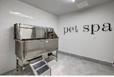 Apartment for rent - Photo 10