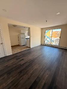 223 Windmill (Nov 1 / Dec 1) - Heat, Water & Pkg Incl!