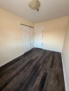 223 Windmill (Nov 1 / Dec 1) - Heat, Water & Pkg Incl! - Photo 3