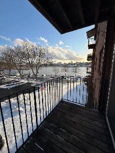223 Windmill (Nov 1 / Dec 1) - Heat, Water & Pkg Incl! - Photo 7