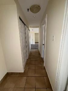 223 Windmill (Nov 1 / Dec 1) - Heat, Water & Pkg Incl! - Photo 8