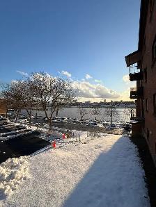 223 Windmill (Nov 1 / Dec 1) - Heat, Water & Pkg Incl! - Photo 10