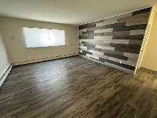 512 YOUNG - 1 BR available Nov 1st - Photo 5