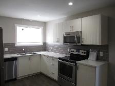 Beautiful Basement Suite in Clearview - Photo 4