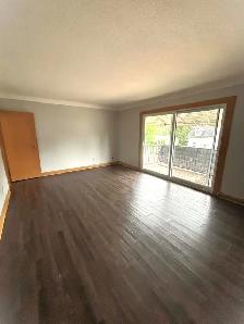 Rent Freeze! 6-511 Niagara, Wyoming - 2 bedroom apartment - Photo 6