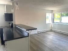 4-289 Indian Rd S, Sarnia- Updated 1-Bedroom Lower Unit Close to - Photo 3