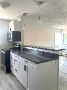 4-289 Indian Rd S, Sarnia- Updated 1-Bedroom Lower Unit Close to - Photo 4